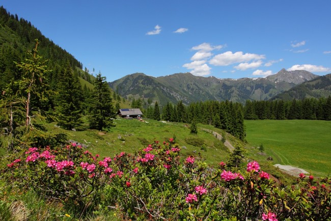 Almlandschaft © www.grossarltal.info