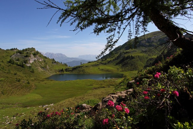 Blick auf Almsee © www.grossarltal.info
