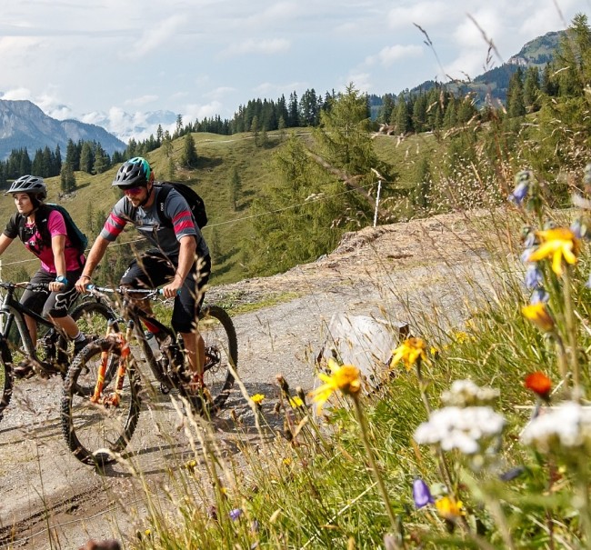 campfeuer zelte test Zelt XtraL für 6 Personen | 5000 mm Wassersäule | Dunkelblau/Grau | XXL Tunnelzelt mit Vorraum, Fest vernähter Boden Summit | Professioneller MTB ITAR Speed(RPM):12v 22rpm 65kgf.cm
